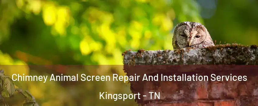  Chimney Animal Screen Repair And Installation Services Kingsport - TN
