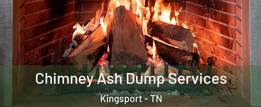  Chimney Ash Dump Services Kingsport - TN