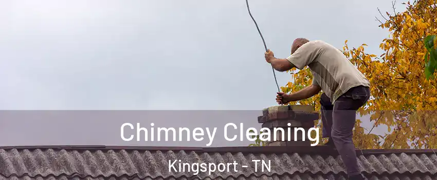  Chimney Cleaning Kingsport - TN