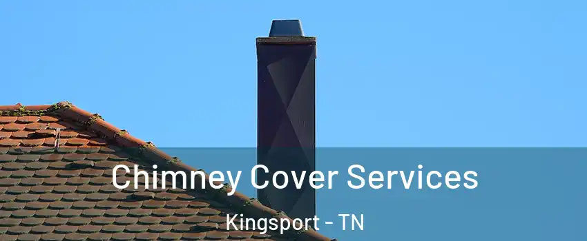  Chimney Cover Services Kingsport - TN