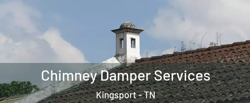  Chimney Damper Services Kingsport - TN