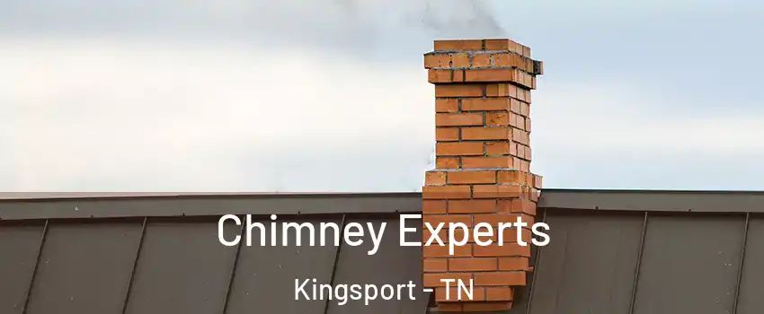 Chimney Experts Kingsport - TN