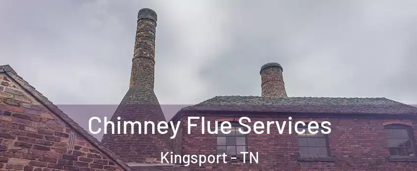  Chimney Flue Services Kingsport - TN