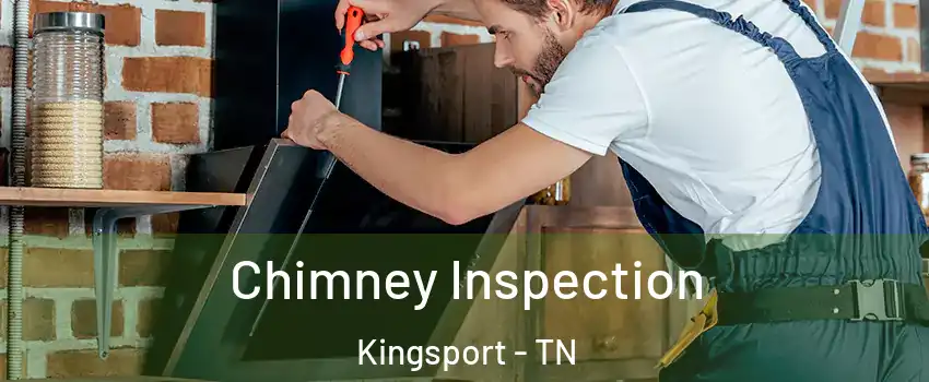  Chimney Inspection Kingsport - TN