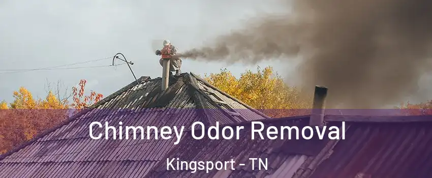  Chimney Odor Removal Kingsport - TN