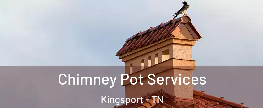  Chimney Pot Services Kingsport - TN