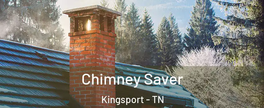  Chimney Saver Kingsport - TN