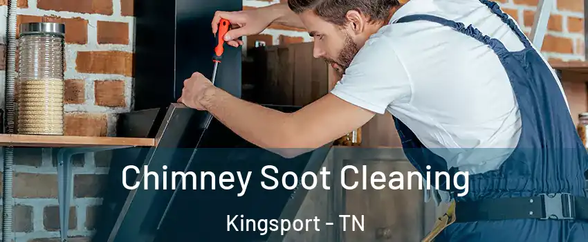  Chimney Soot Cleaning Kingsport - TN