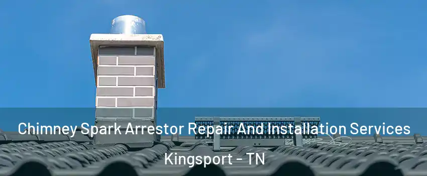  Chimney Spark Arrestor Repair And Installation Services Kingsport - TN