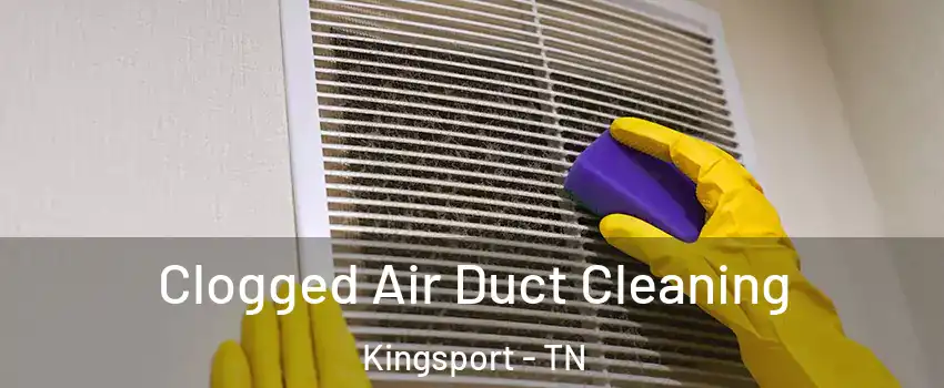  Clogged Air Duct Cleaning Kingsport - TN
