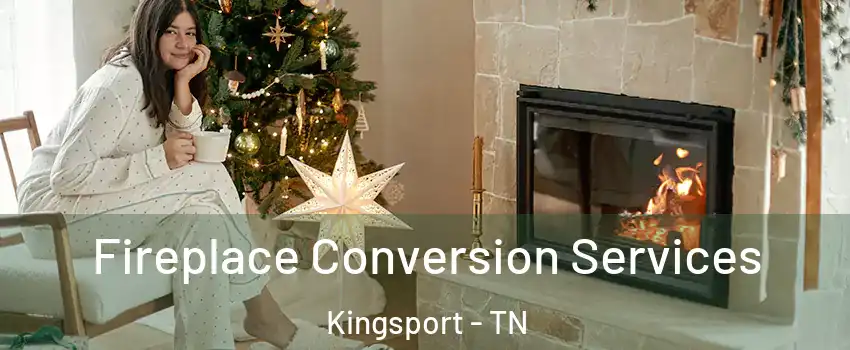  Fireplace Conversion Services Kingsport - TN