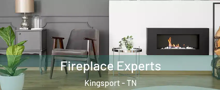  Fireplace Experts Kingsport - TN