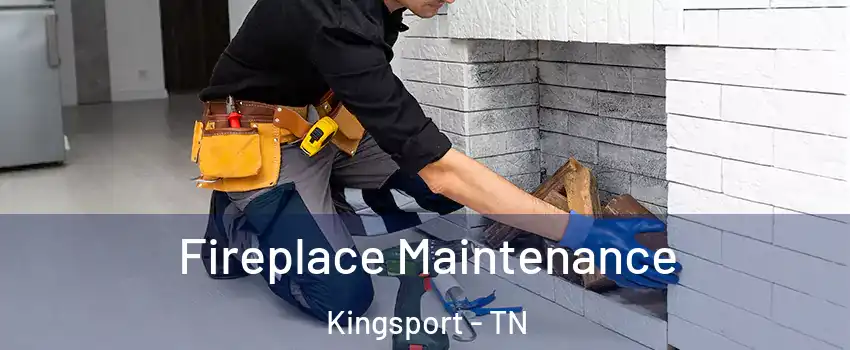  Fireplace Maintenance Kingsport - TN