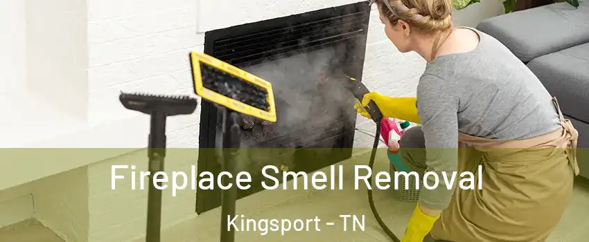  Fireplace Smell Removal Kingsport - TN