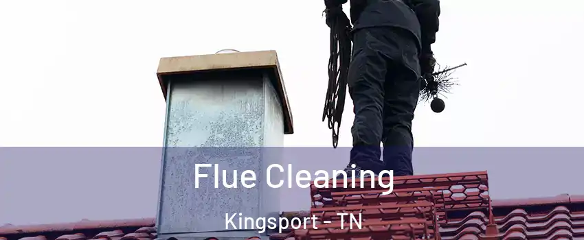  Flue Cleaning Kingsport - TN