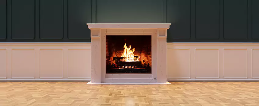 Napoleon Electric Fireplaces Inspection Service in Kingsport, Tennessee