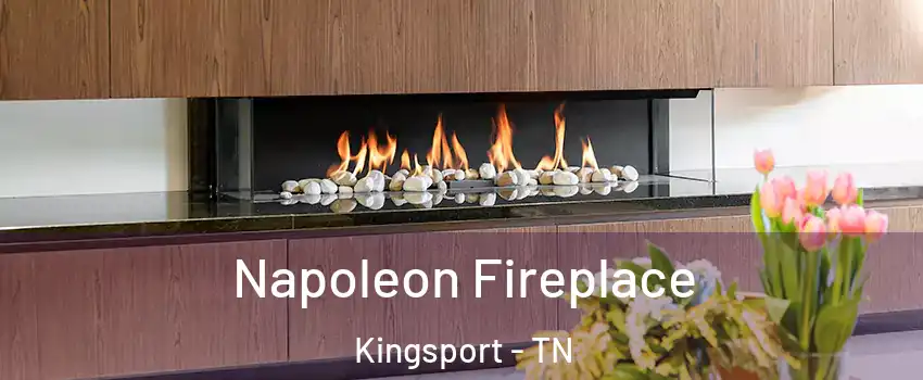  Napoleon Fireplace Kingsport - TN