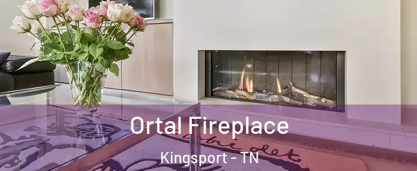  Ortal Fireplace Kingsport - TN